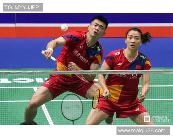 深入剖析武汉羽毛球队战术表现及其对比赛胜负的影响因素