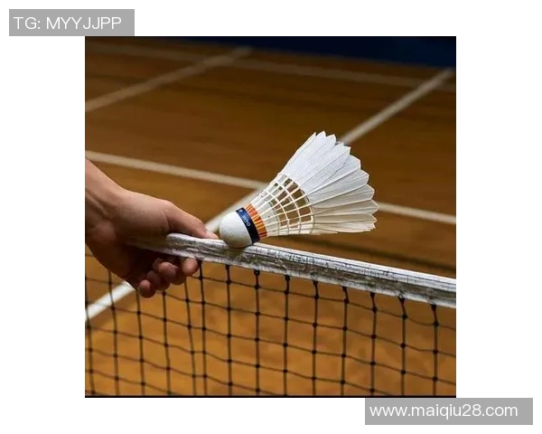 羽毛球新手必看技巧与训练方法全攻略助你快速入门提升水平