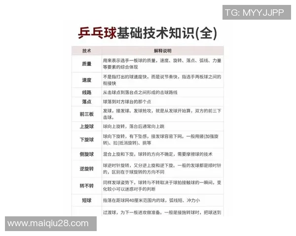 英超乒乓球新手必看入门指南助你快速提升技巧与状态 英超乒乓球新手必看入门指南助你快速提升技巧与状态