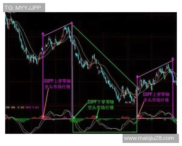 从零基础到高手飞盘运动全方位攻略与技巧分享