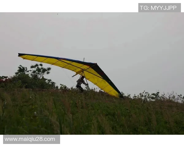 探索广州极限运动队的灵活性体育与极限运动的无限可能