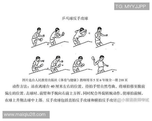 体育实时数据乒乓球新手必看耐力训练入门指南助你轻松提升球技与体能