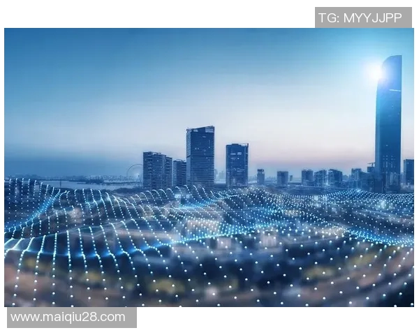 体育实时数据成都排球队转型之路的挑战与机遇探索杯赛特别报道