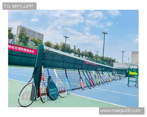 体育实时数据深度探讨杨丽的网球人生与成长历程背后的故事与启示