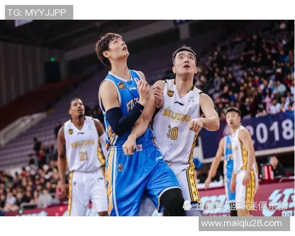 杨丽专访：探寻篮球领域的成功秘诀与成长之路实时数据