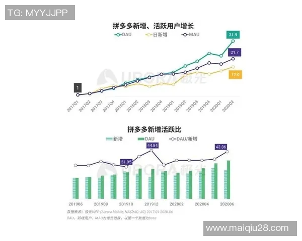 武汉羽毛球队引领最新羽毛球意识TOP10榜单全景解析实时数据